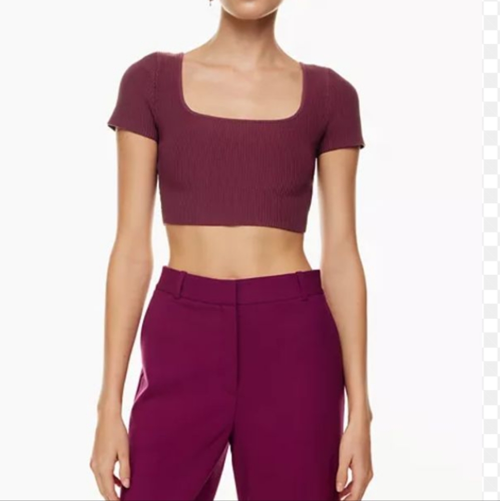 Aritzia Babaton Sculpt Knit Squareneck Short Sleeve Cropped Top